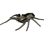 Spider vector clip art