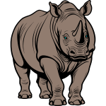 Rhino 10b