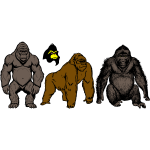 Four gorillas
