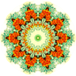 Colorful geometrical flower