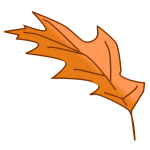 Oak tree autumn leaf vector image