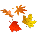 Autumn leaves selection vector image