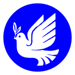 White pigeon of peace vector image