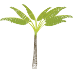 Vector image of tropical palm tree
